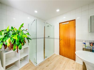 Picture 24